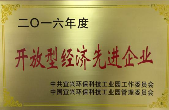 开放经济先进企业